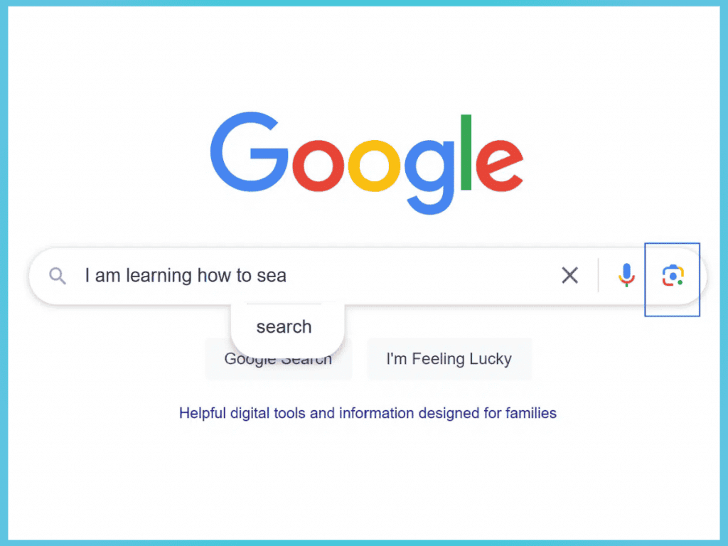 Google Search