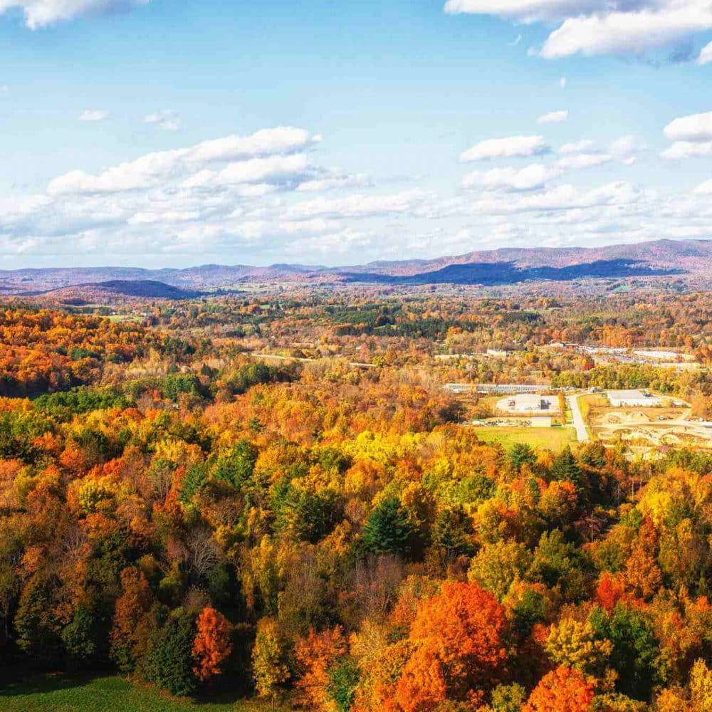 Lorphic Excels In Content Marketing Burlington Ct With Top-Tier Strategies